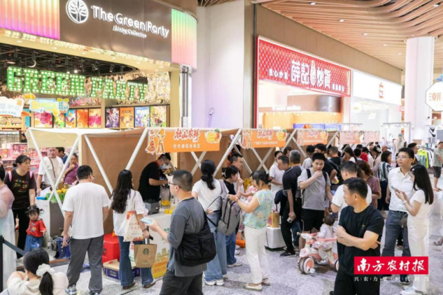 2026粤桂协作“壮山农鲜”大湾区芒果专场推介会现场人流如织。 2026粤桂协作“壮山农鲜”大湾区芒果专场推介会现场人流如织。